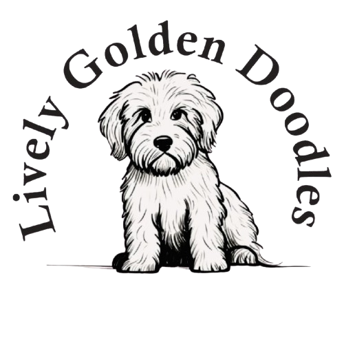 livelygoldendoodles.com
